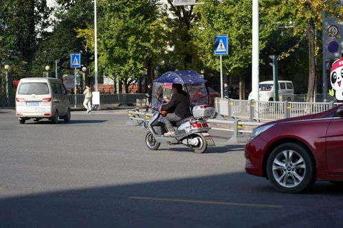 寶興縣規范電動三輪與四輪車管理 上路需持證上牌，強化生產源頭治理